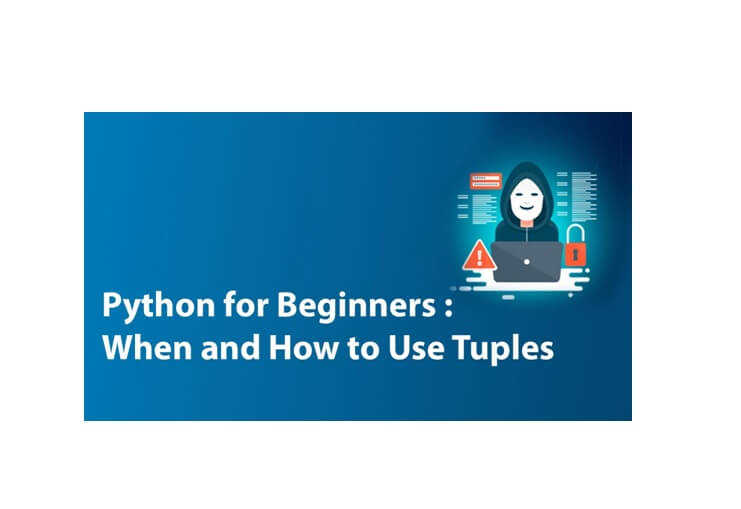 Python is a popular programming language