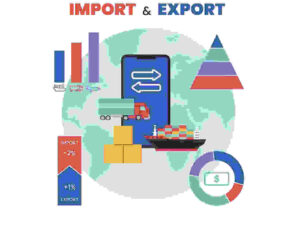 import and export infographic