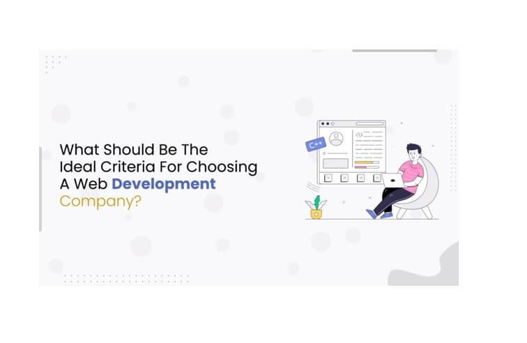 What Should Be The Ideal Criteria For Choosing A Web Development Company?