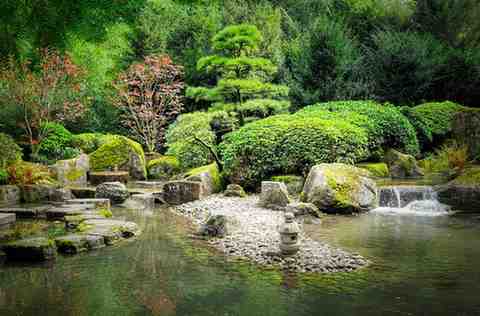 Zen Garden: Creating Tranquility and Calm in Your Yard