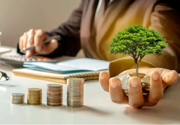 Scaling with Financial Stability: Build Growth on Solid Ground