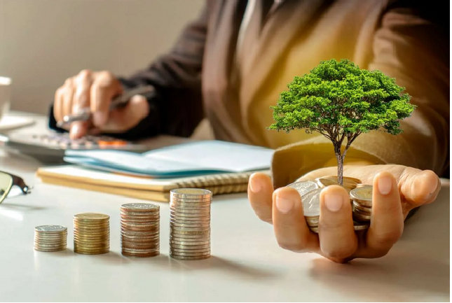 Scaling with Financial Stability: Build Growth on Solid Ground